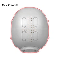 アルツハイマーヘルメット療法